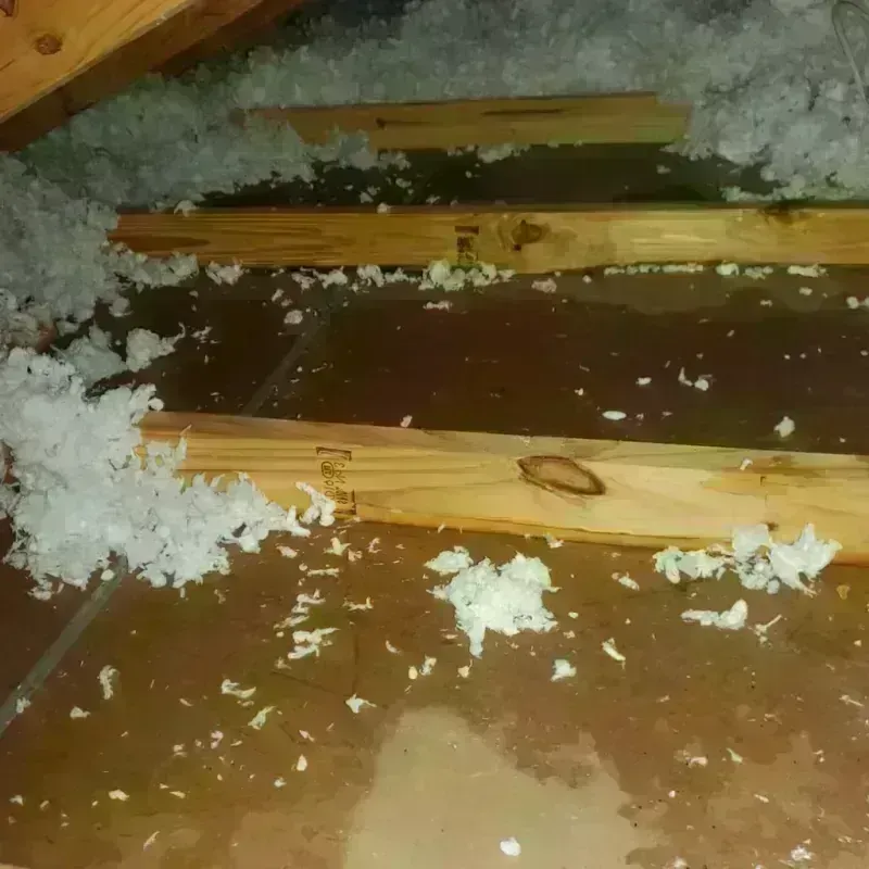 Attic Water Damage in Fife, WA